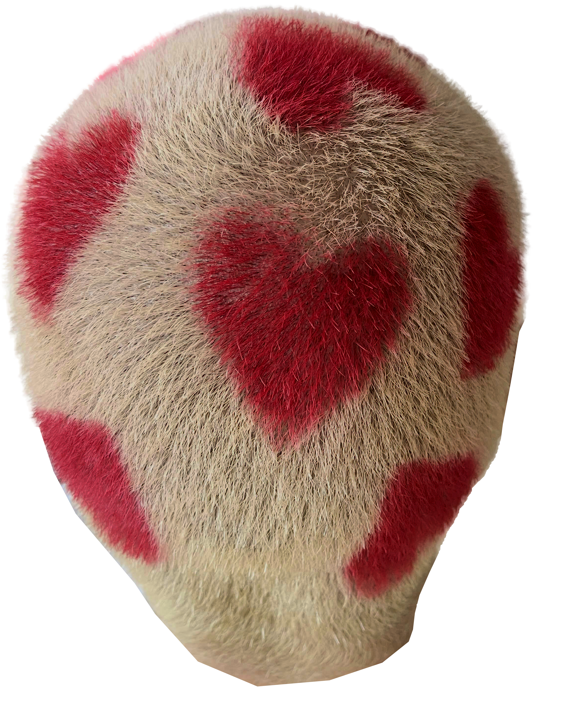 Vue arrière des 10 cœurs